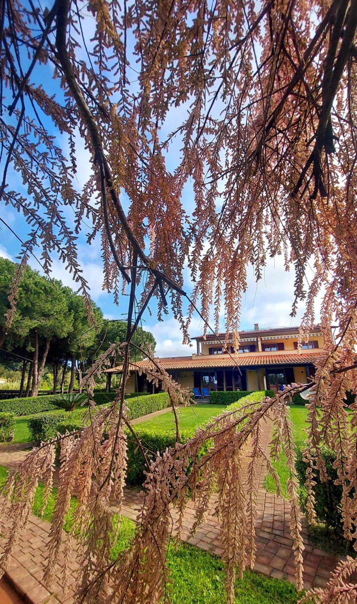 Lido Azzurro Residence Rta Capoliveri  Eksteriør bilde